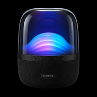 Ezra Portable Wireless Speaker