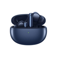 Openbox Realme Buds Air 3 Earbuds