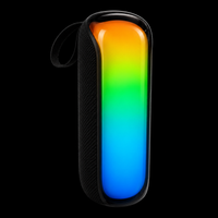 Ezra Portable Wireless Speaker