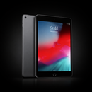 Preowned Excellent Apple Ipad Mini 5th Gen Wifi - 256GB (BLACK)