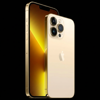 Refurbished Excellent Apple iPhone 13 Pro - 1TB (GOLD)