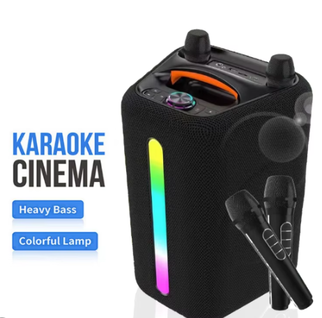 tws-2-wireless-mic-dual-6-5-wireless-rechargeable-speaker-abs-6205-500w